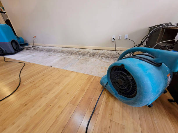 Professional Water Damage Repair technician working in Bethel Springs, TN